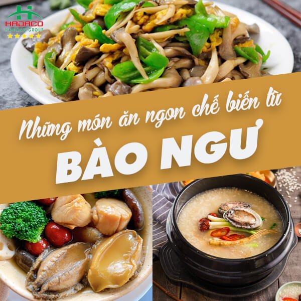 Những Món Ăn Ngon Chế Biến Từ Bào Ngư – Siêu Thị Hải Sản Hải Đăng